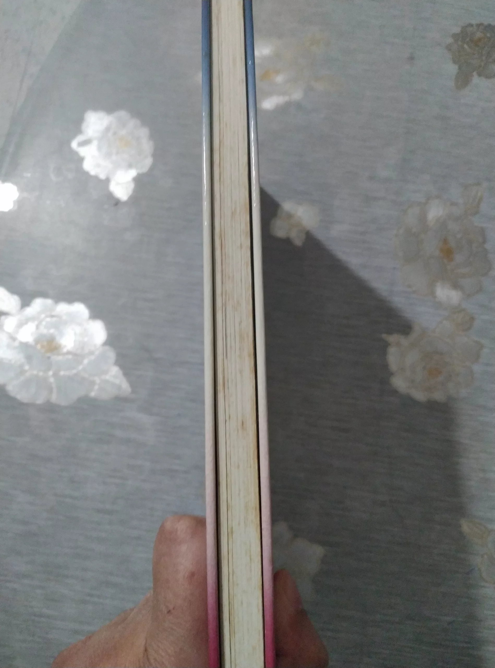 {“capture_mode”:”AutoModule”,”faces”:[]}