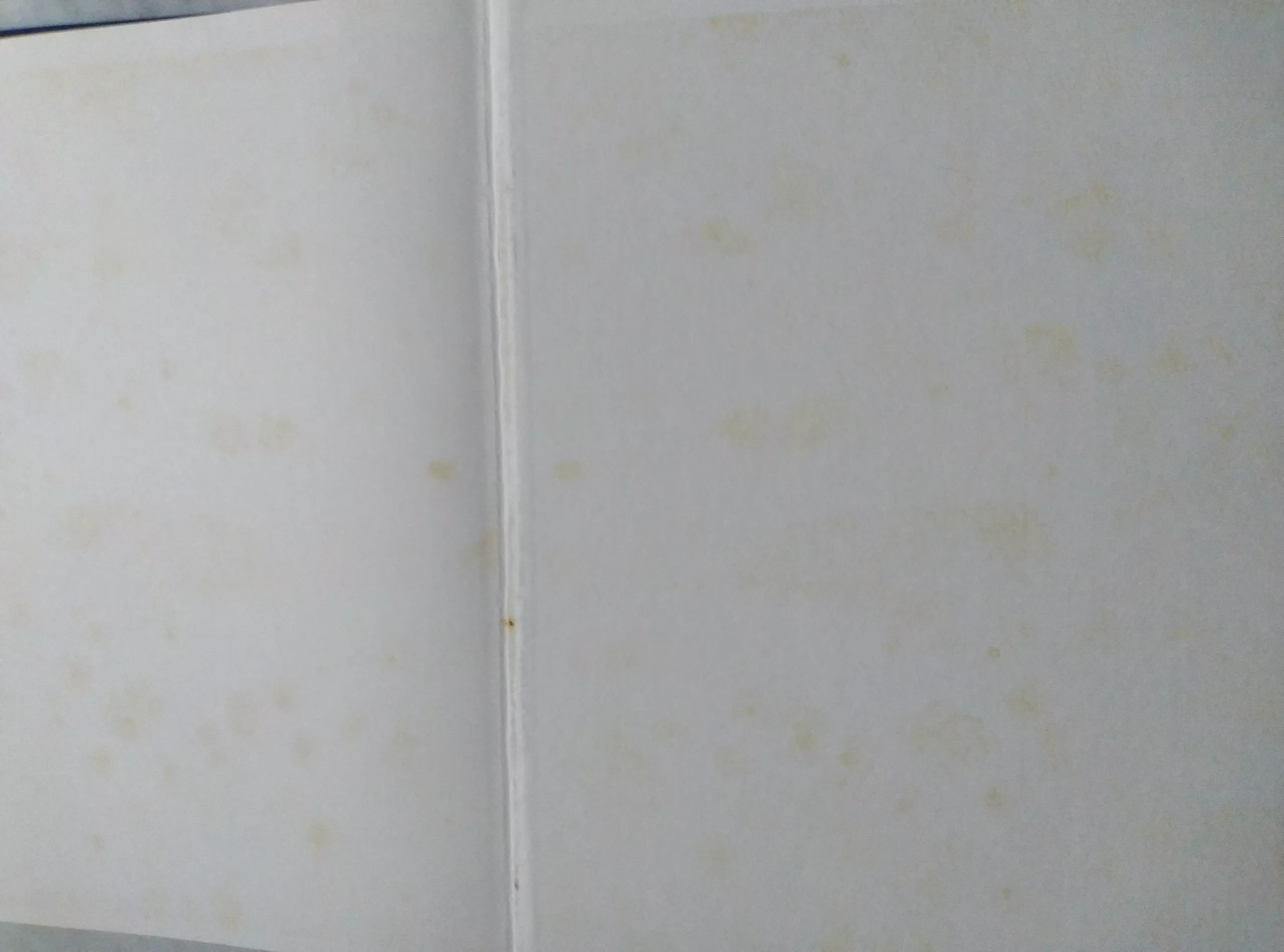 {“capture_mode”:”AutoModule”,”faces”:[]}