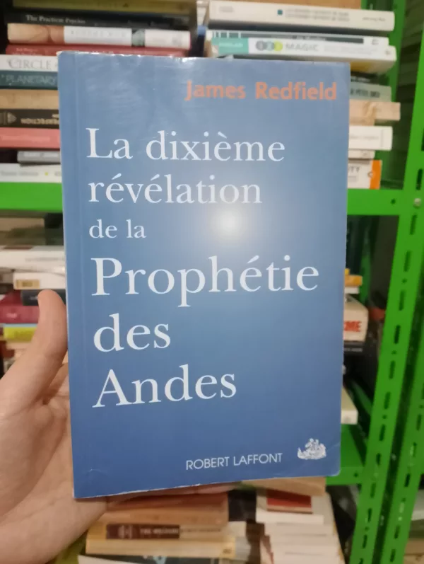 La dixième prophétie: La suite de “La prophétie des Andes”