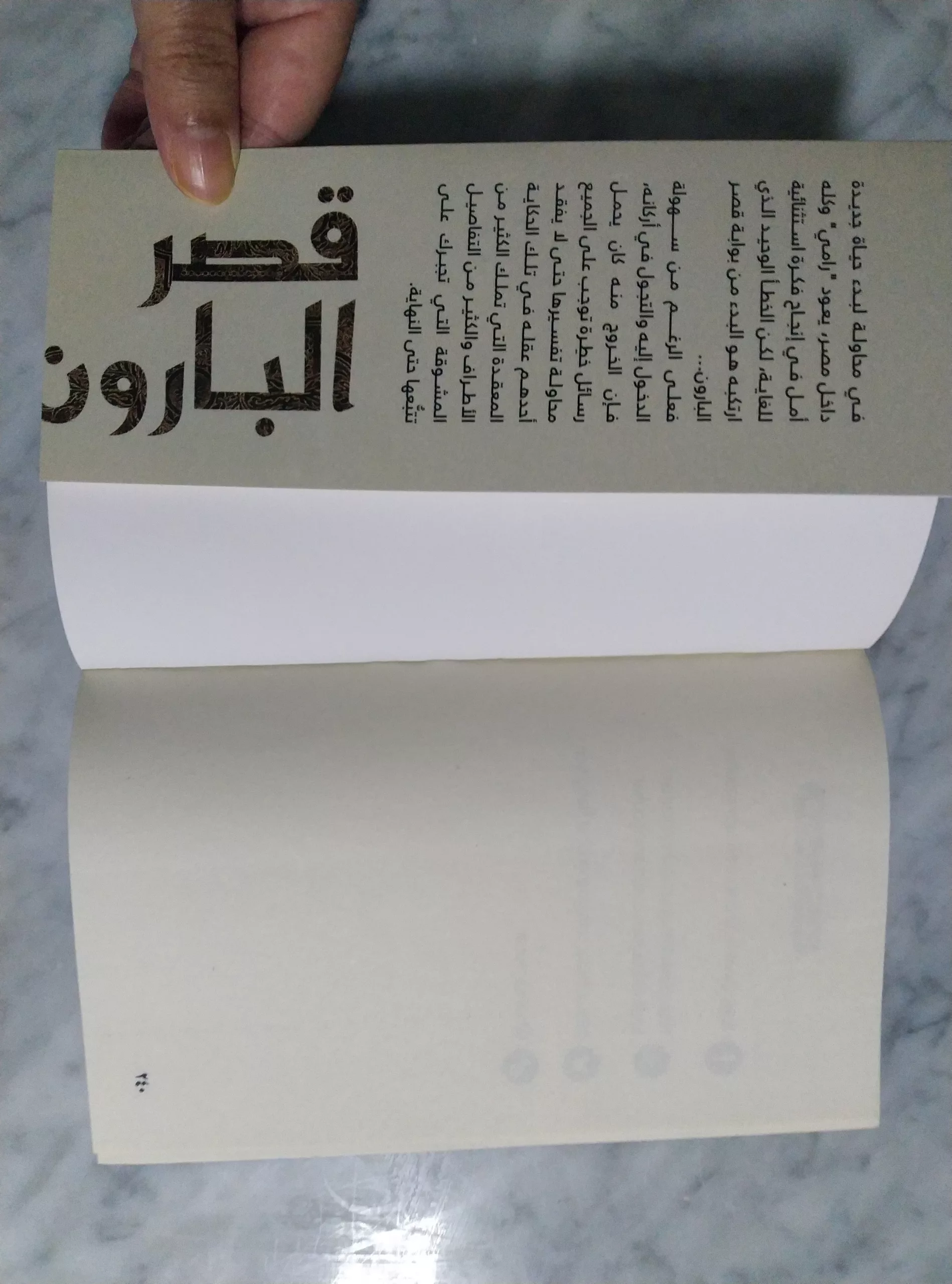 {“capture_mode”:”AutoModule”,”faces”:[]}