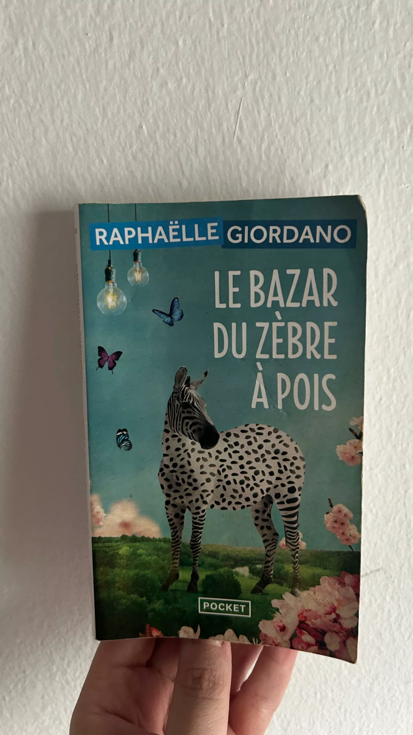 La bazar du zèbre à pois de Raphaëlle Giordano