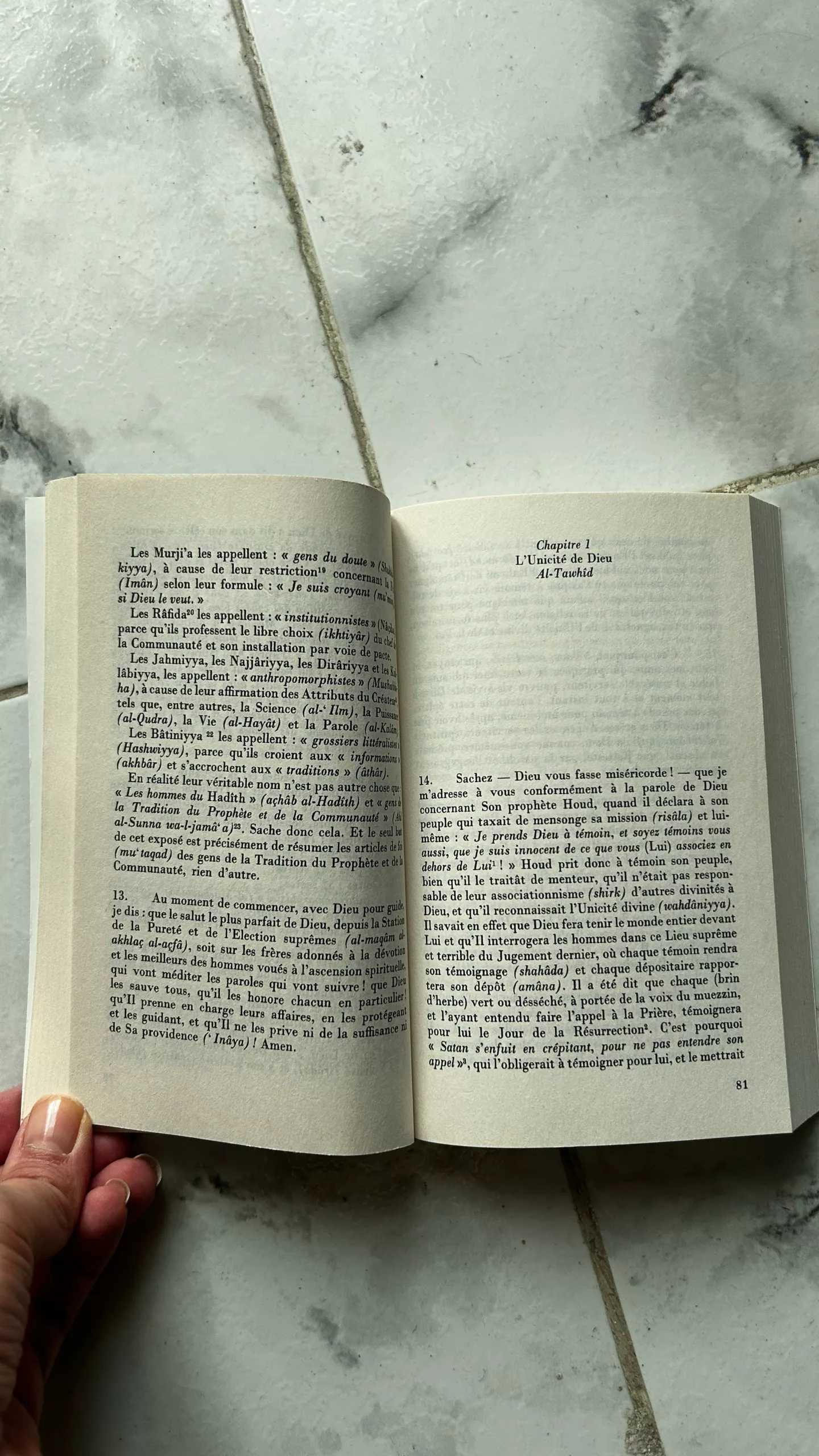 WhatsApp Image 2026-01-25 at 21.36.07