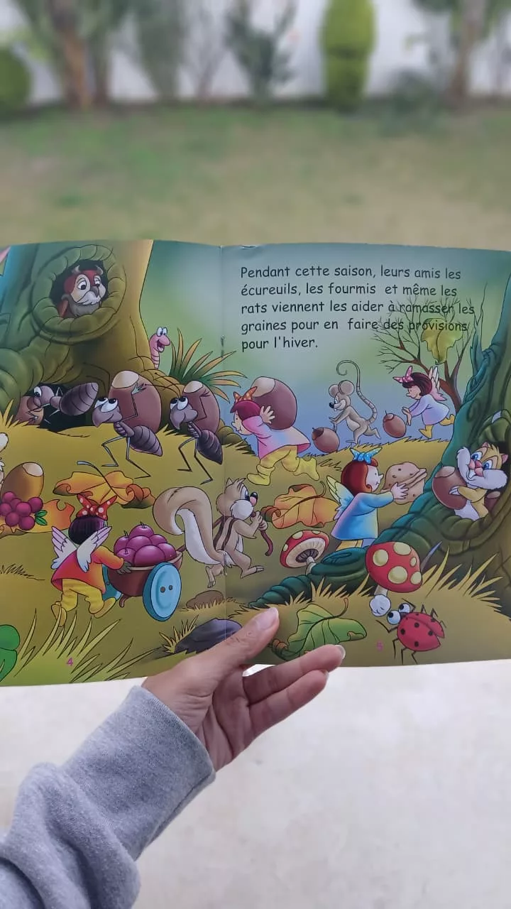 WhatsApp Image 2026-01-31 at 16.19.40