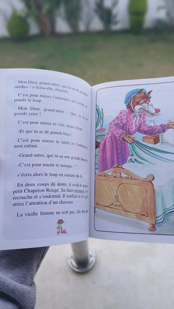 WhatsApp Image 2026-01-31 at 16.19.55