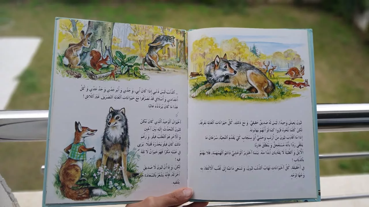 WhatsApp Image 2026-01-31 at 16.20.36