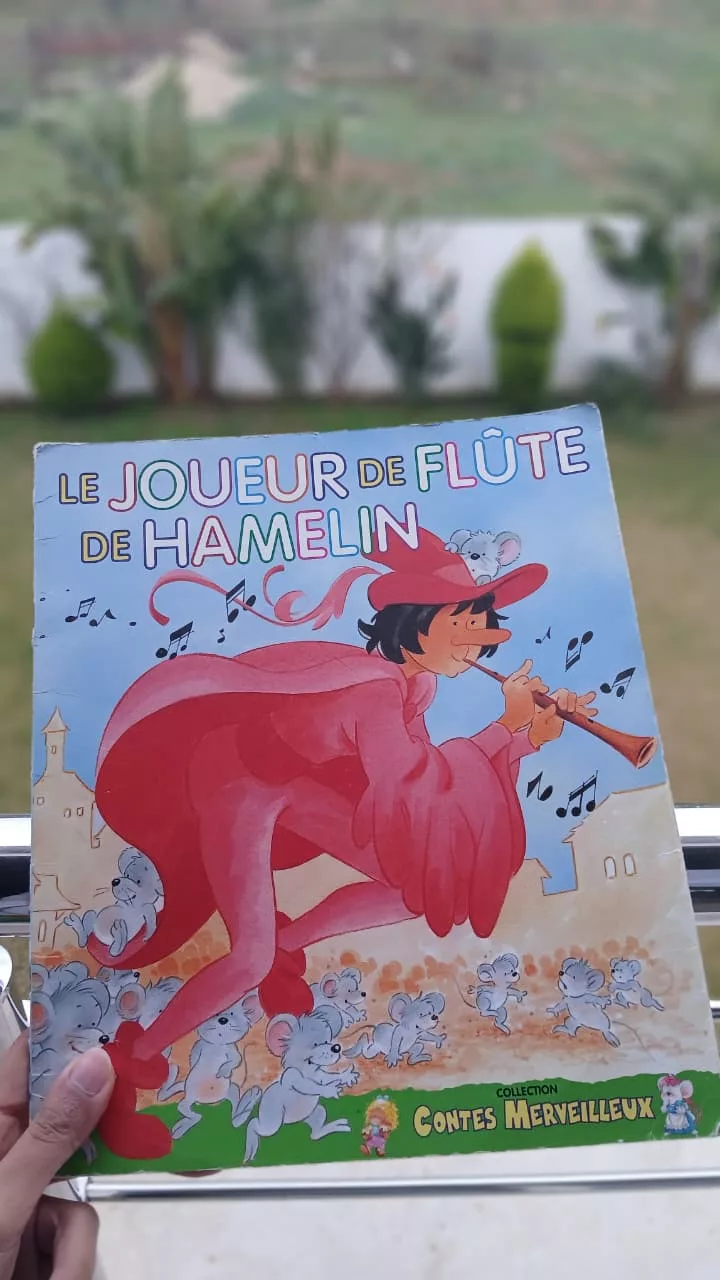 WhatsApp Image 2026-01-31 at 16.52.13