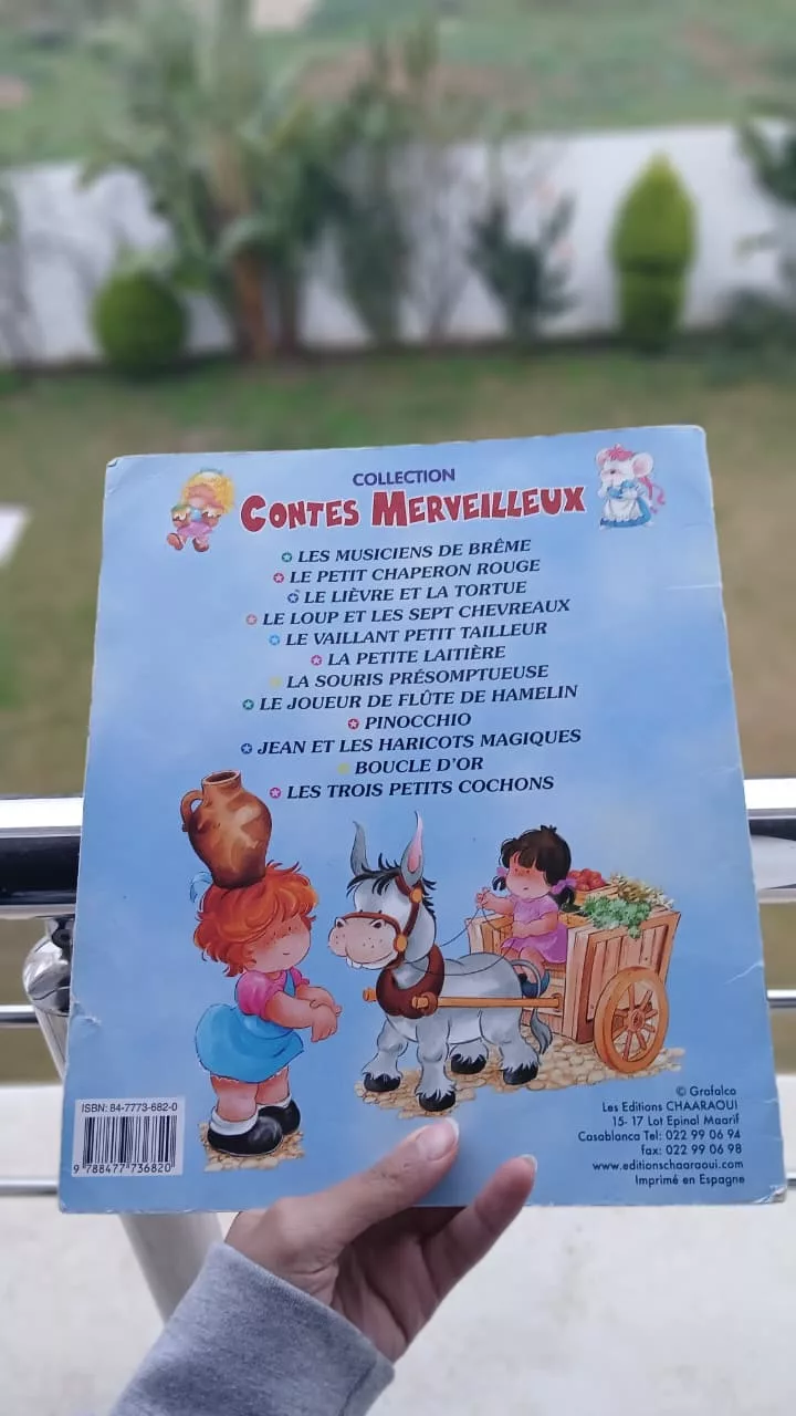 WhatsApp Image 2026-01-31 at 16.52.18