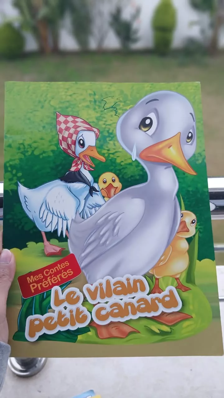 WhatsApp Image 2026-01-31 at 16.52.35