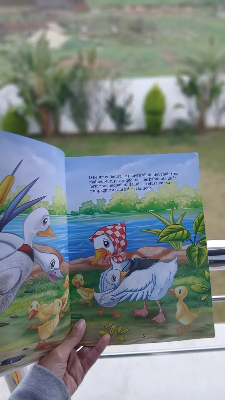 WhatsApp Image 2026-01-31 at 16.53.01