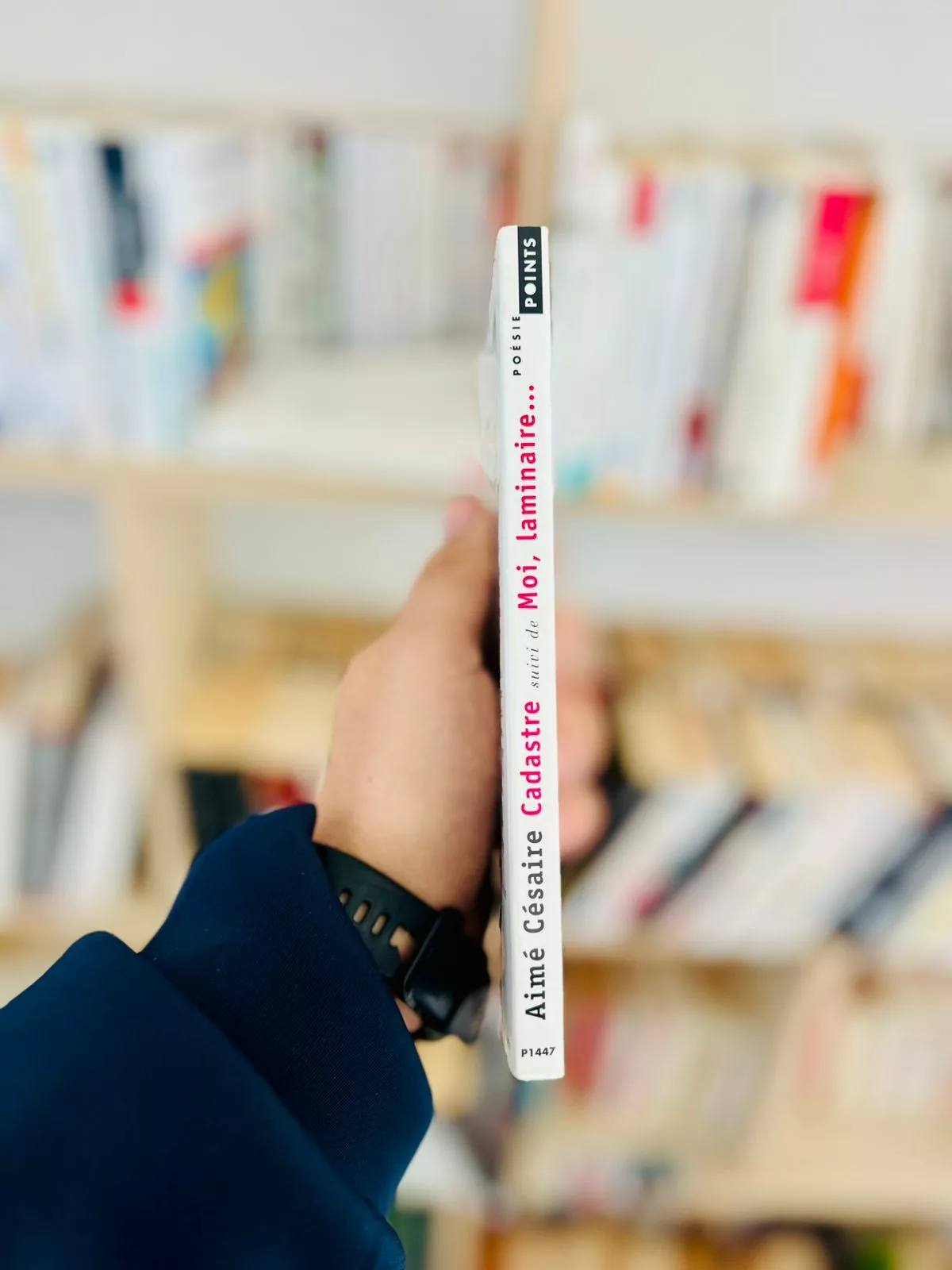 Cadastre – Moi, Laminaire…