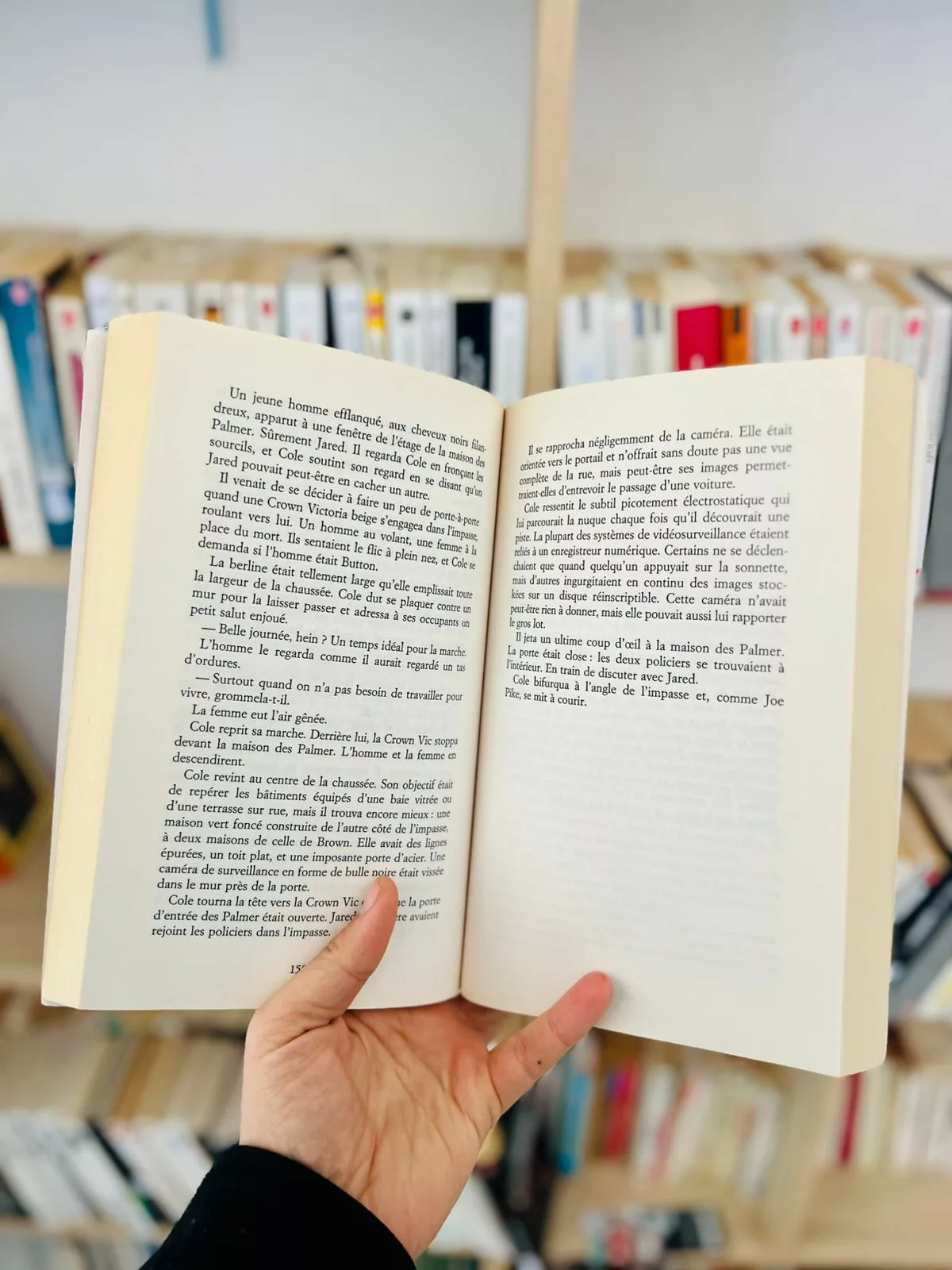 La sentinelle de l’ombre