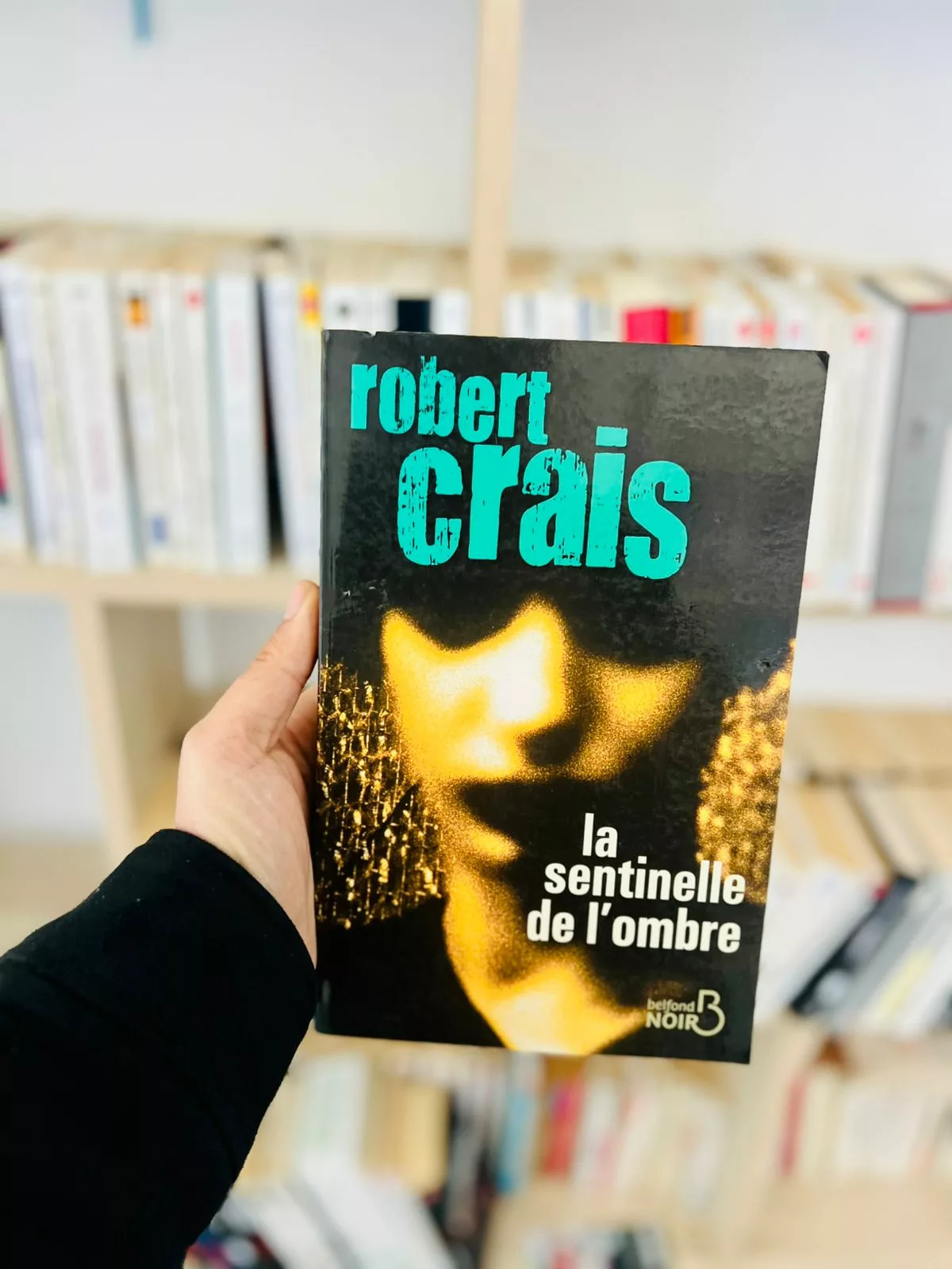 La sentinelle de l’ombre