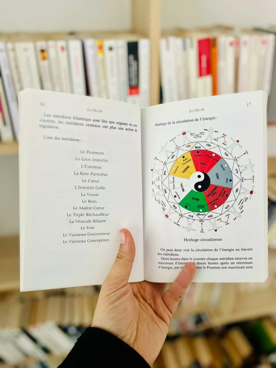 Le Do-In : Une méthode d’auto-massage venue d’Orient