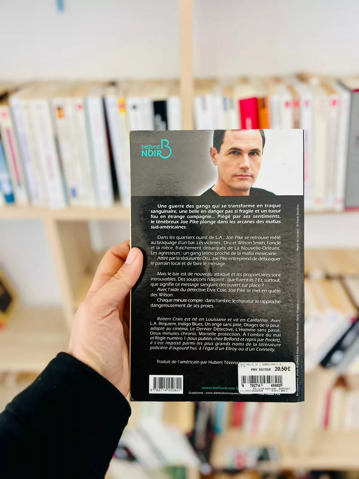 La sentinelle de l’ombre