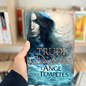 La loi du millénaire, tome 2 : L'ange des tempêtes