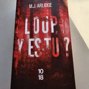 Loup y es-tu ? de M. J. Arlidge
