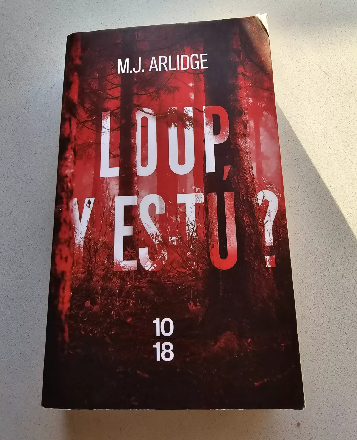 Loup y es-tu ? de M. J. Arlidge