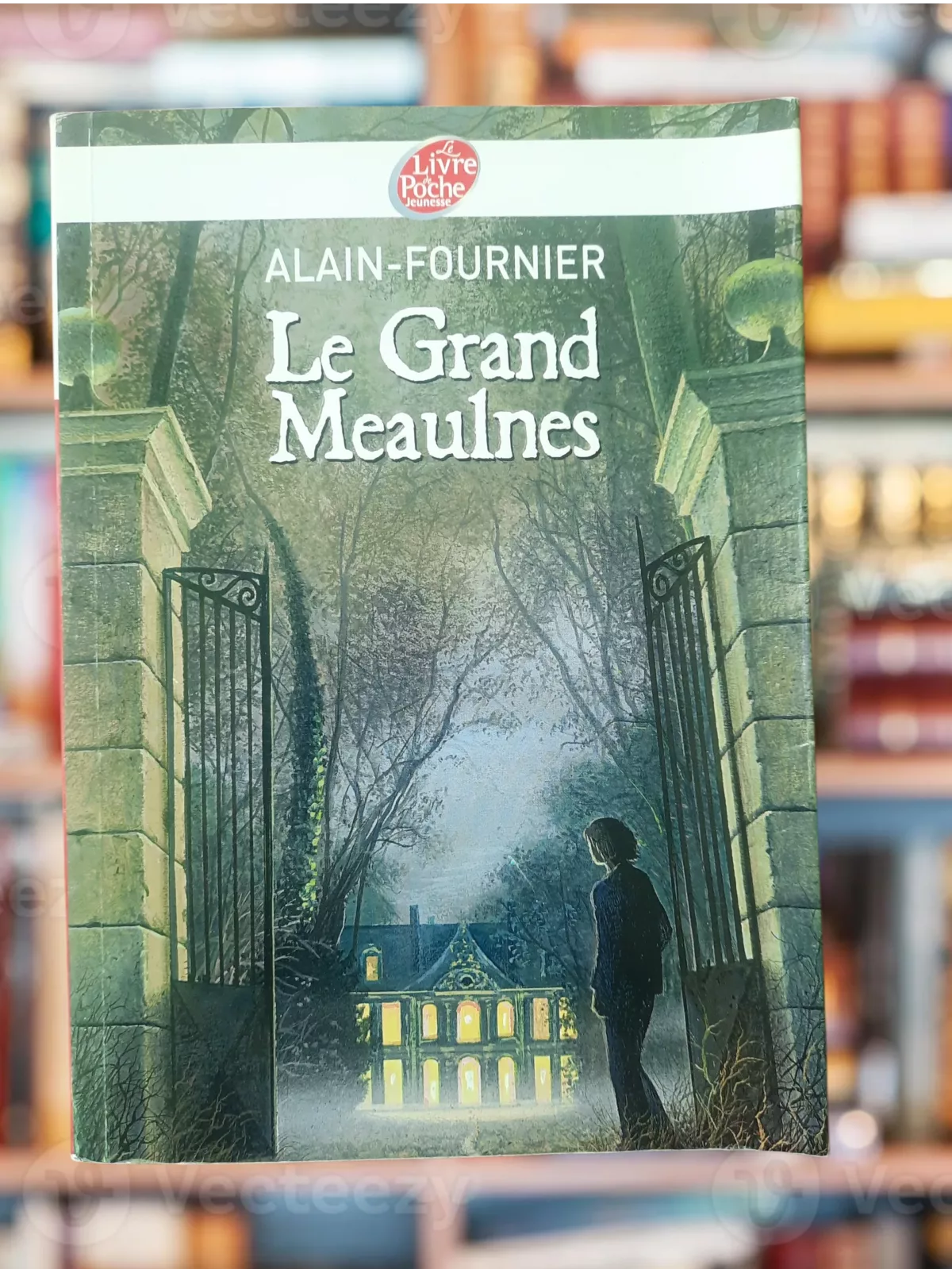 Le Grand Meaulnes de Alain Fournier