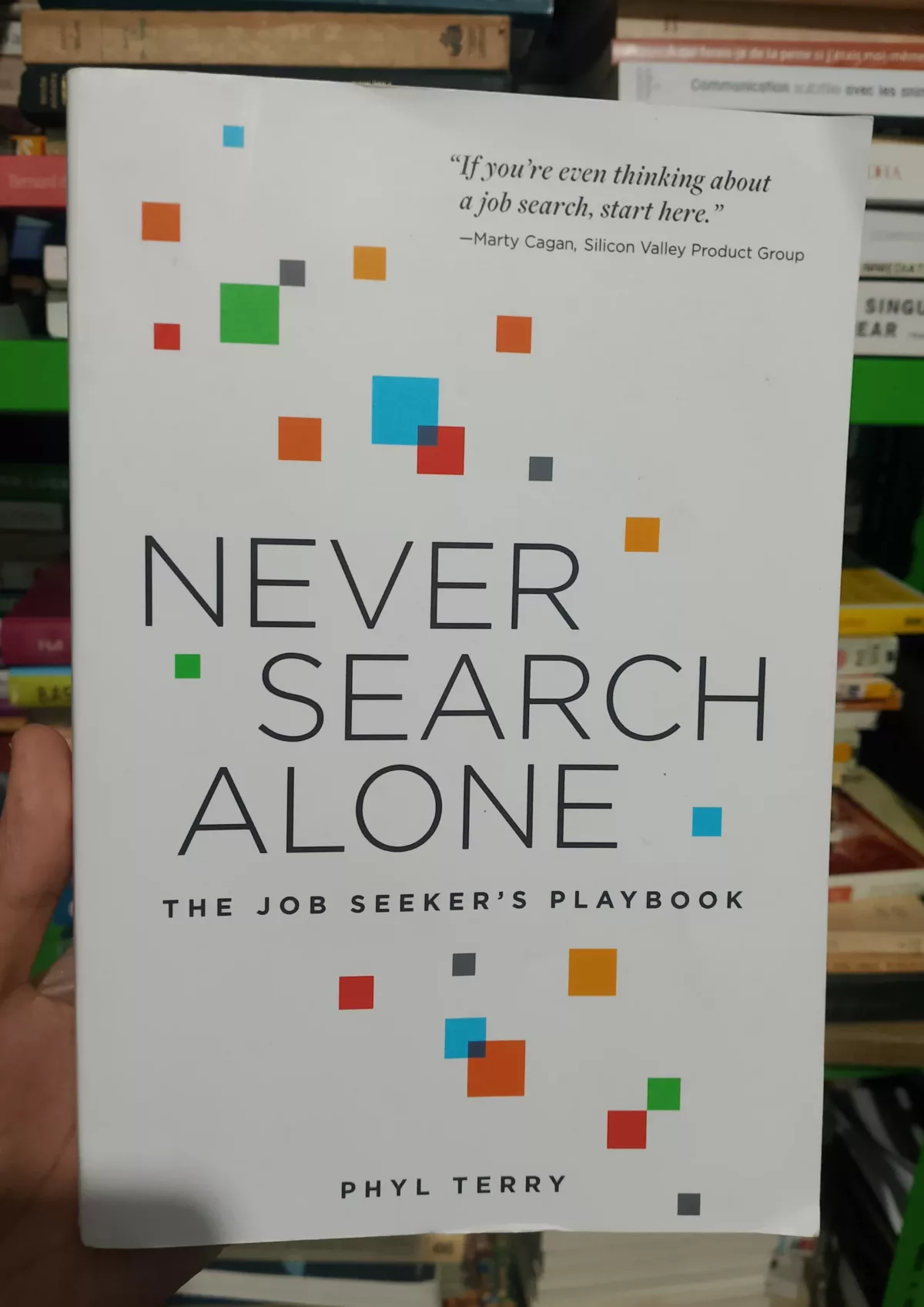 Never Search Alone: The Job Seeker’s Playbook by Phyl Terry