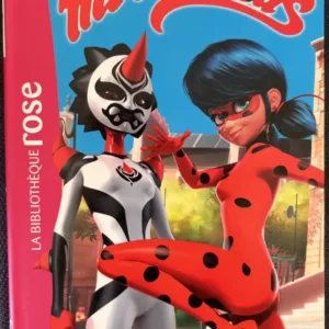 Miraculous 14 cropped cropped cropped IMG 6584 scaled 1