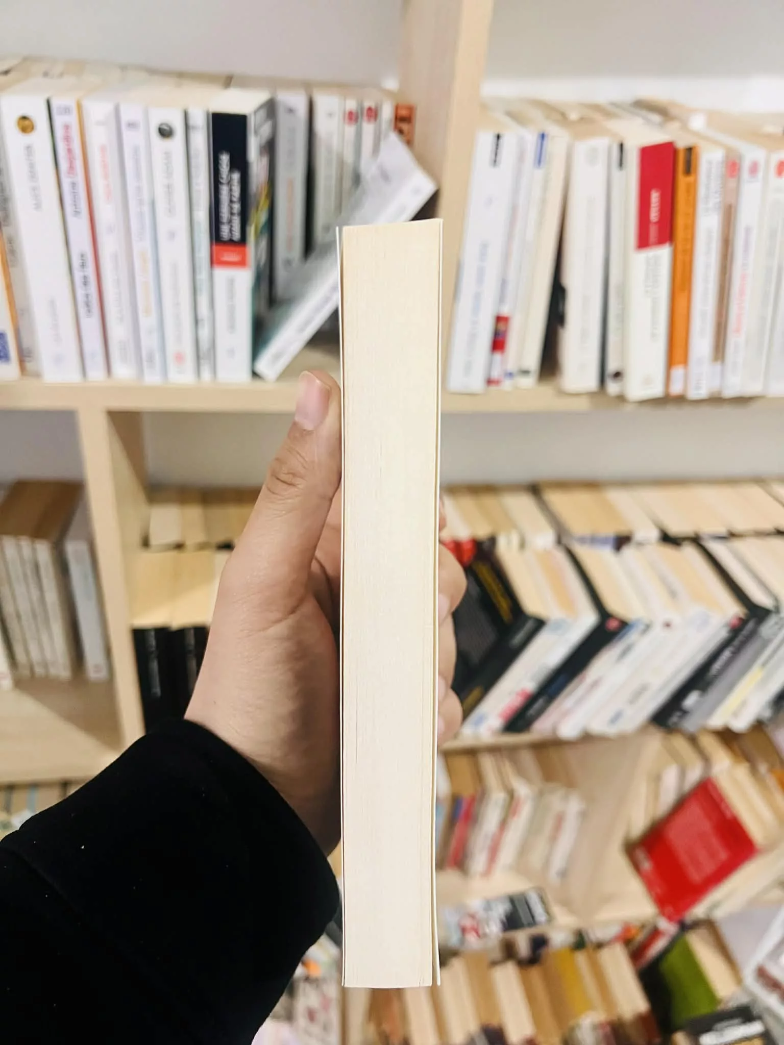 d4962787-aba7-4857-847c-9e9e61045025