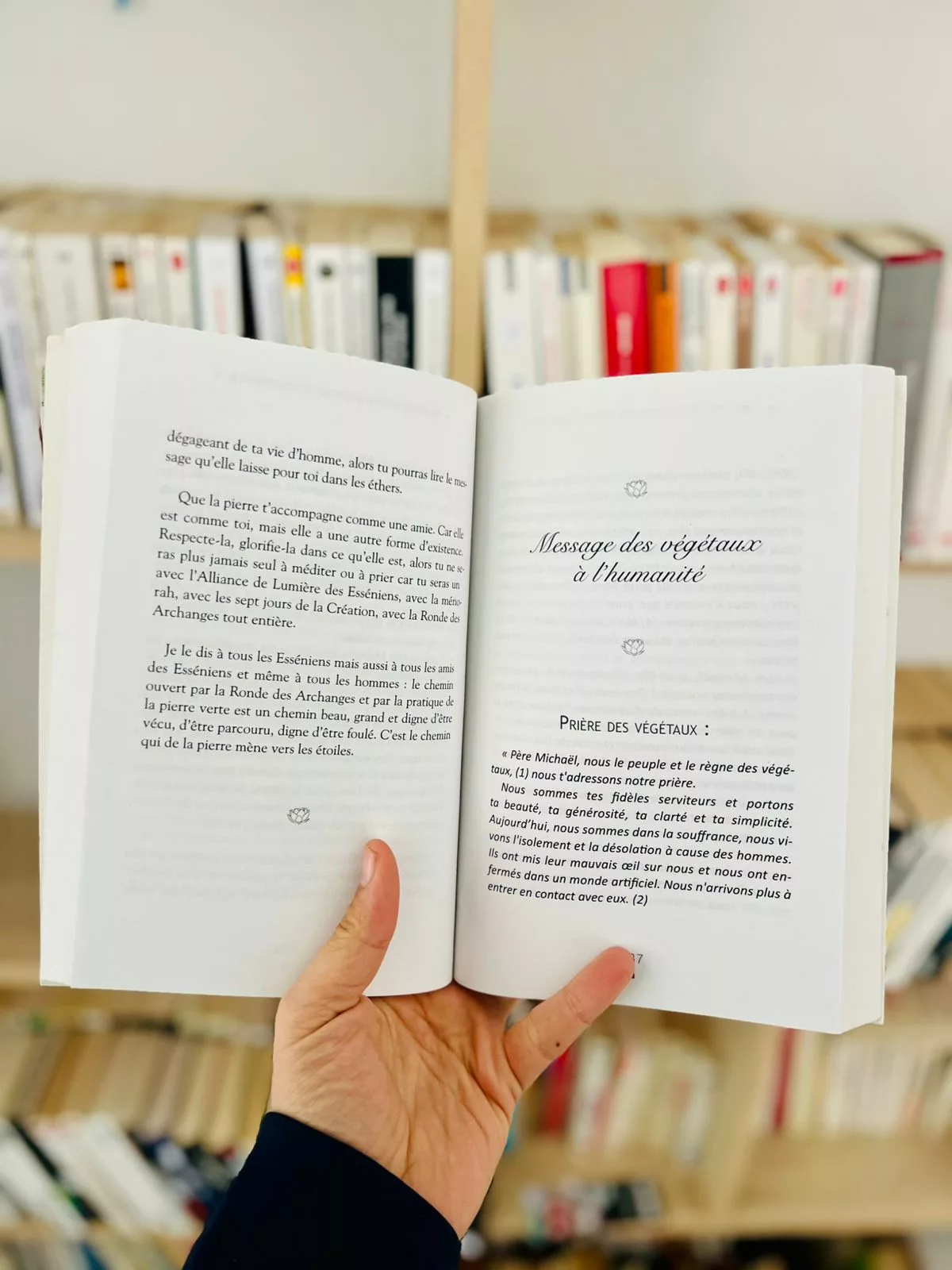 Dialogues avec la Mère-Terre : Les 5 Règnes de la Terre nous livrent leurs messages