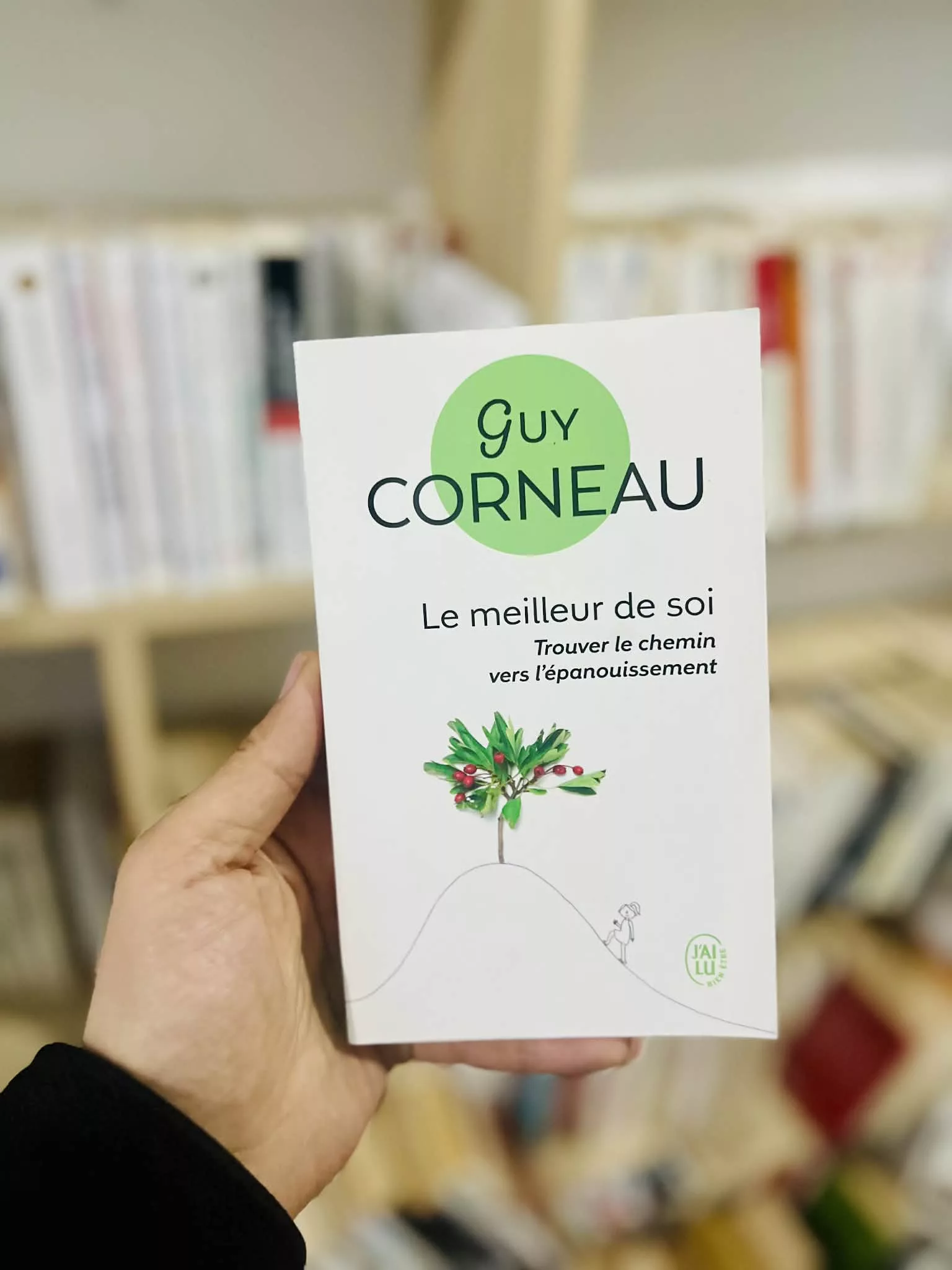 Le meilleur de soi Guy Corneau