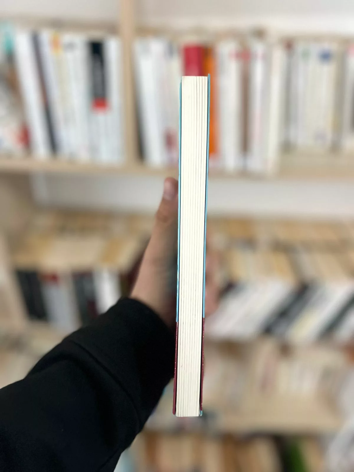 Sur la plage de Chesil