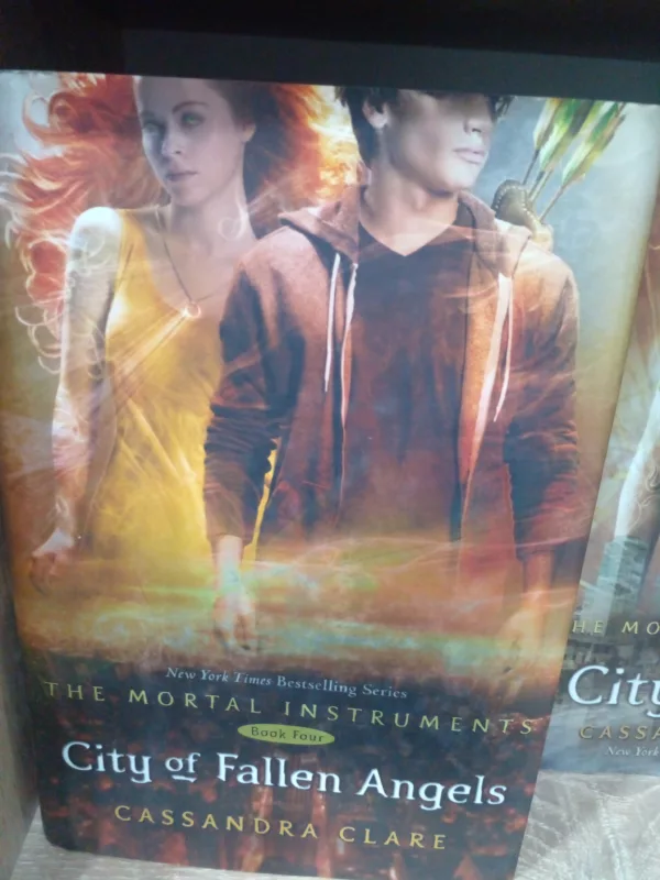 City of Fallen Angels