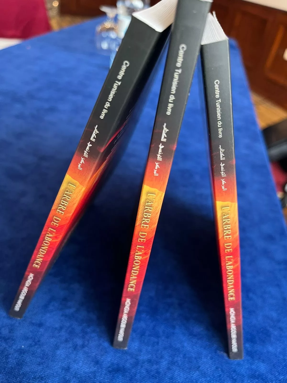 E7803370-F2AD-423C-993E-873F836E8AC1