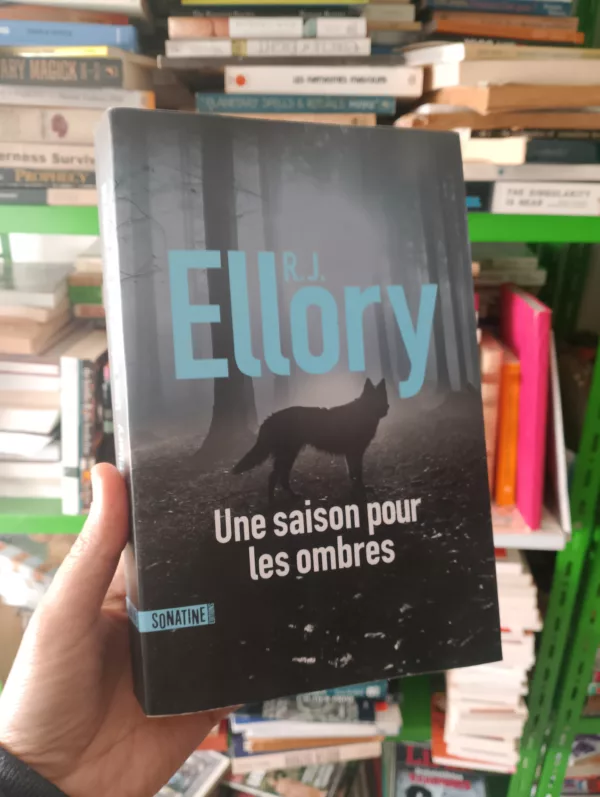 Une saison pour les ombres 1 Une saison pour les ombres