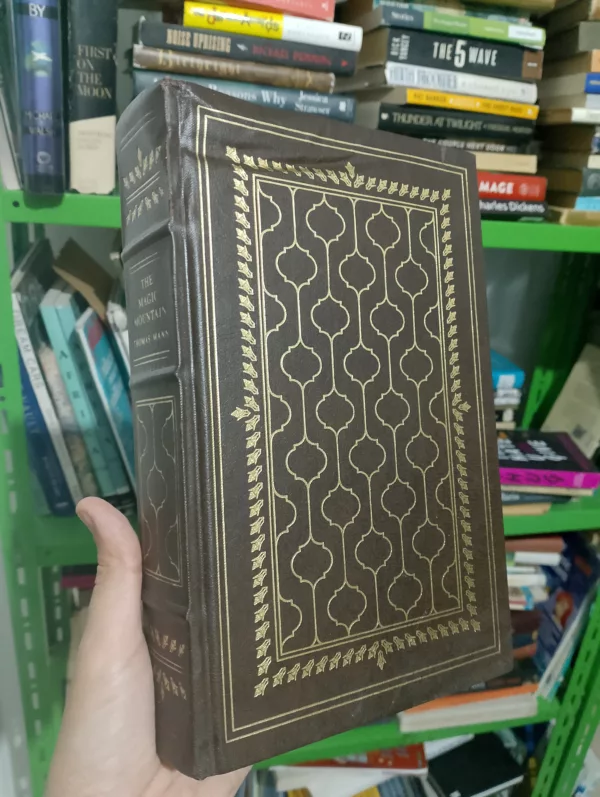 The magic mountain 1 The magic mountain