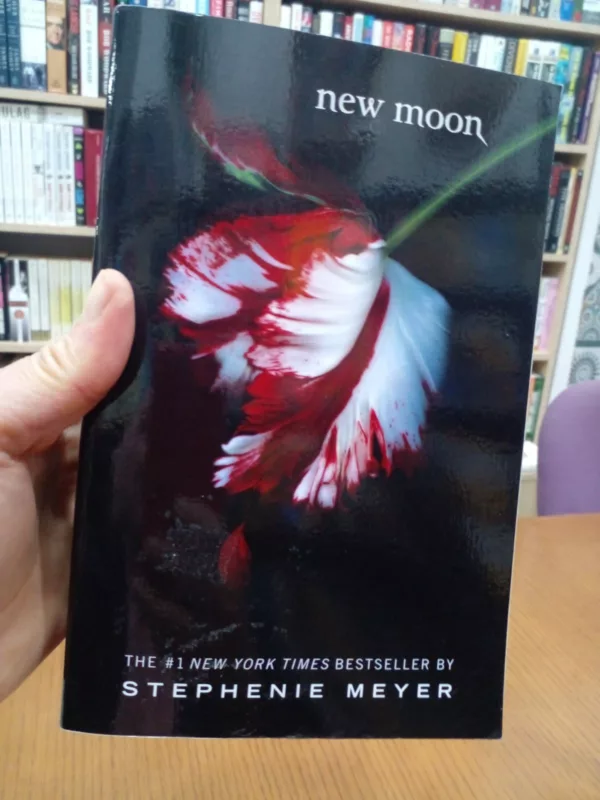 New Moon 1 New Moon