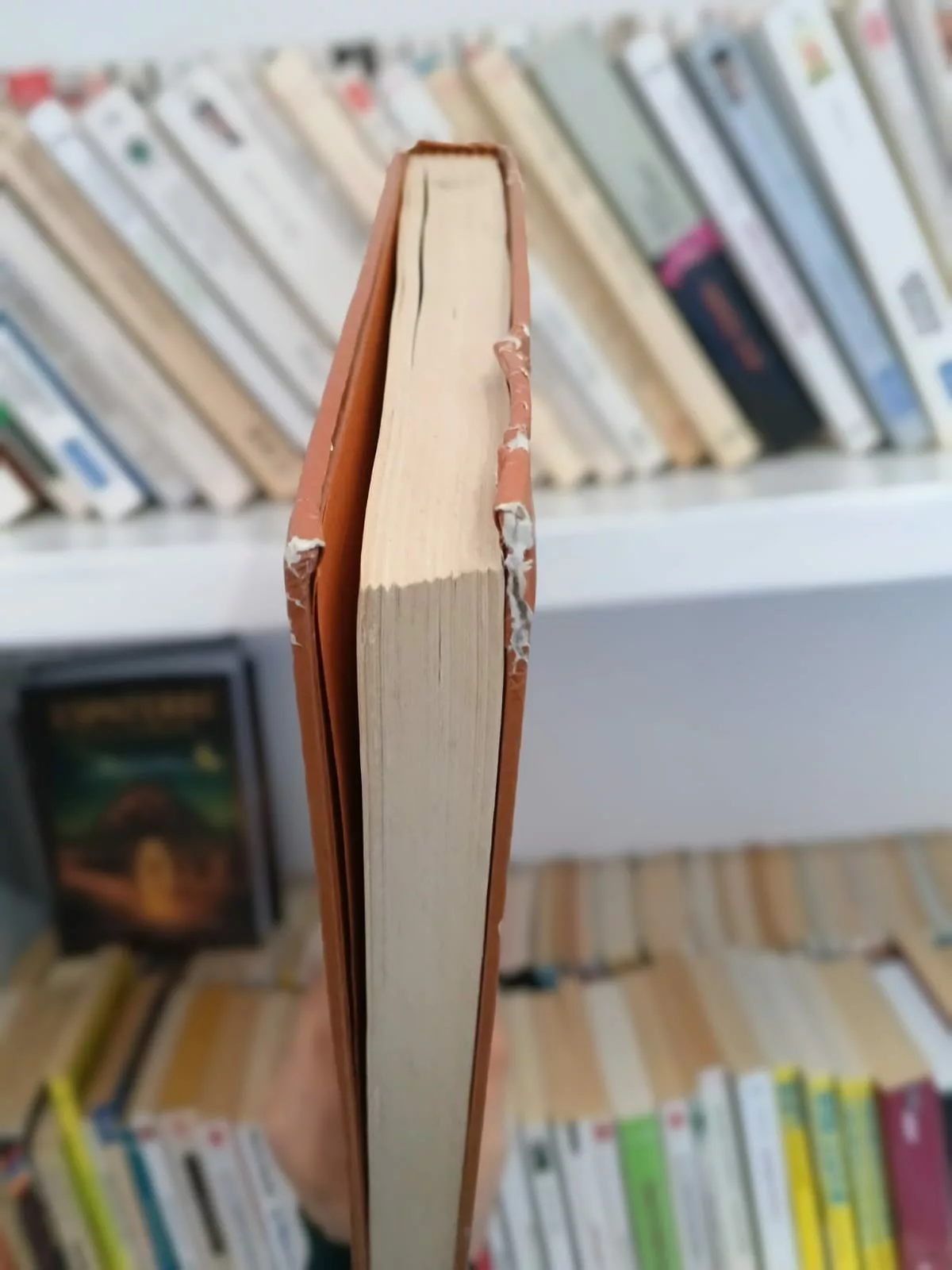 The Joy of Signing: The new illustrated guide for mastering sign language and the manual alphabet