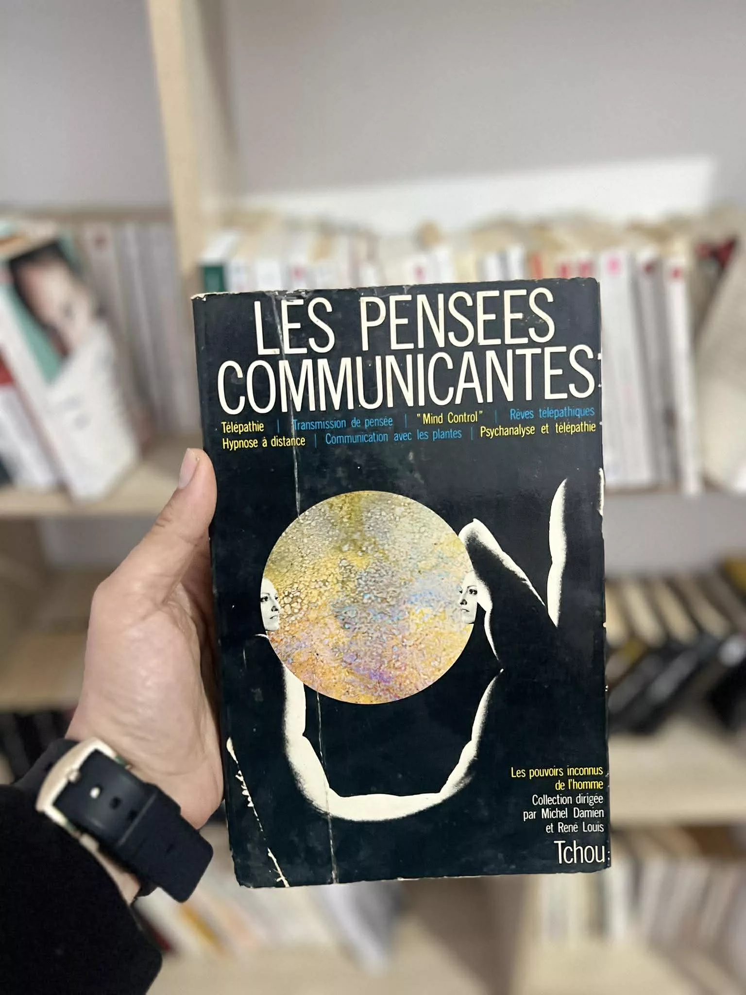 Les pensées communicantes de Michel Damien et René Louis