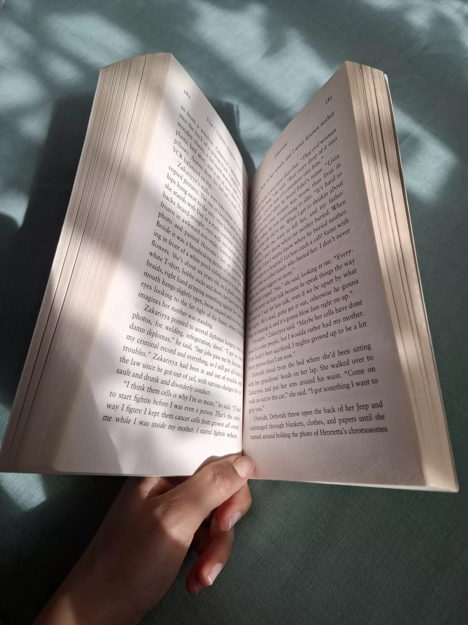 cd62772e-7ef6-40a3-b828-3304a9cd59f9