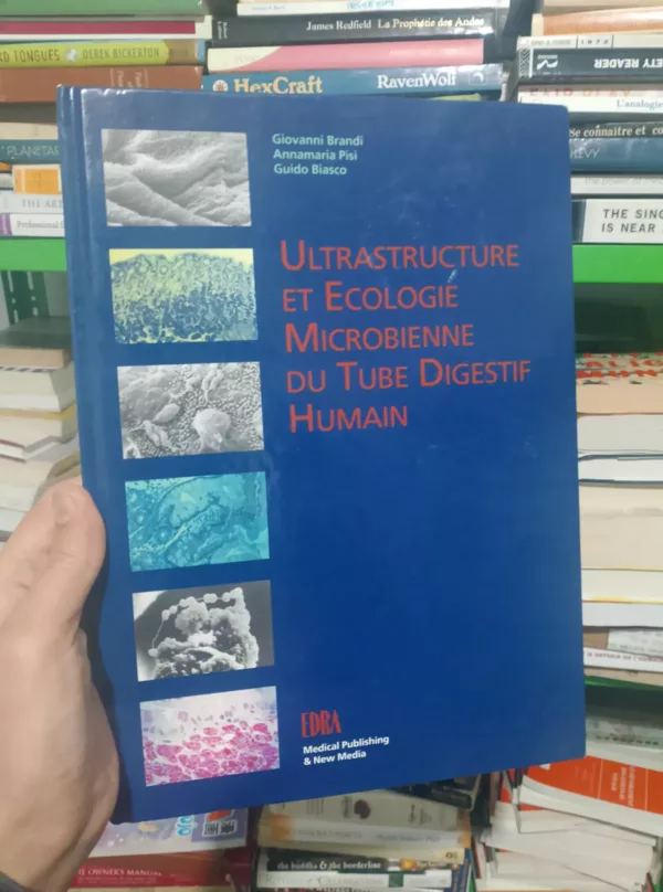 Ultrastructure et écologie microbienne du tube digestif humain 1 Ultrastructure et écologie microbienne du tube digestif humain