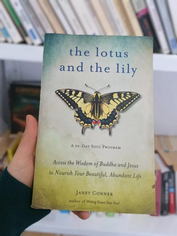 Lotus and the Lily 1 Lotus and the Lily
