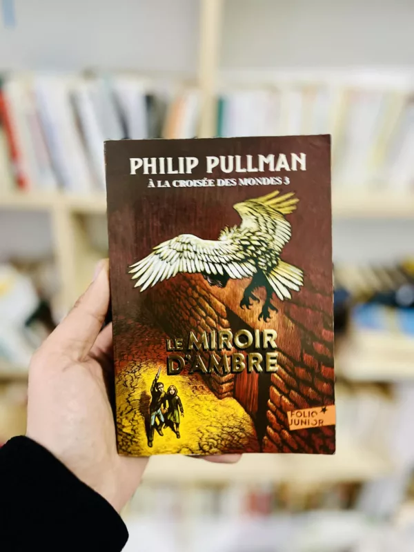 Le miroir d’ambre