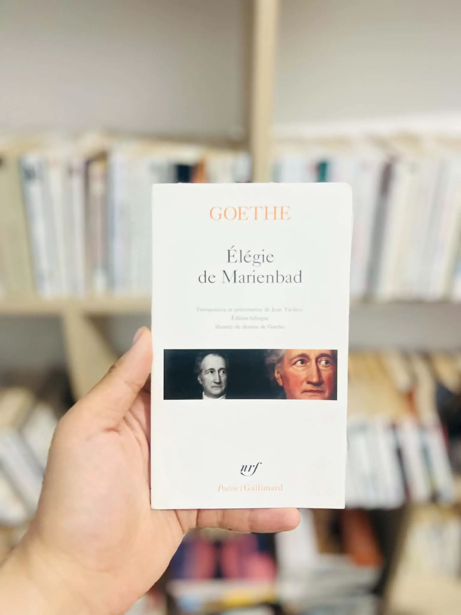 Élégie de Marienbad et autres poèmes