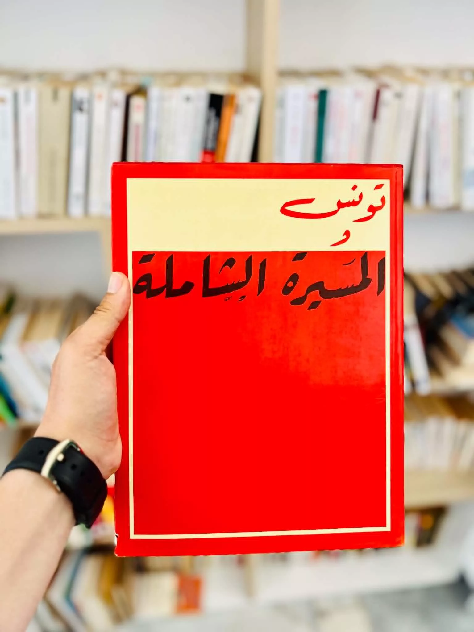 تونس : المسيرة الشاملة