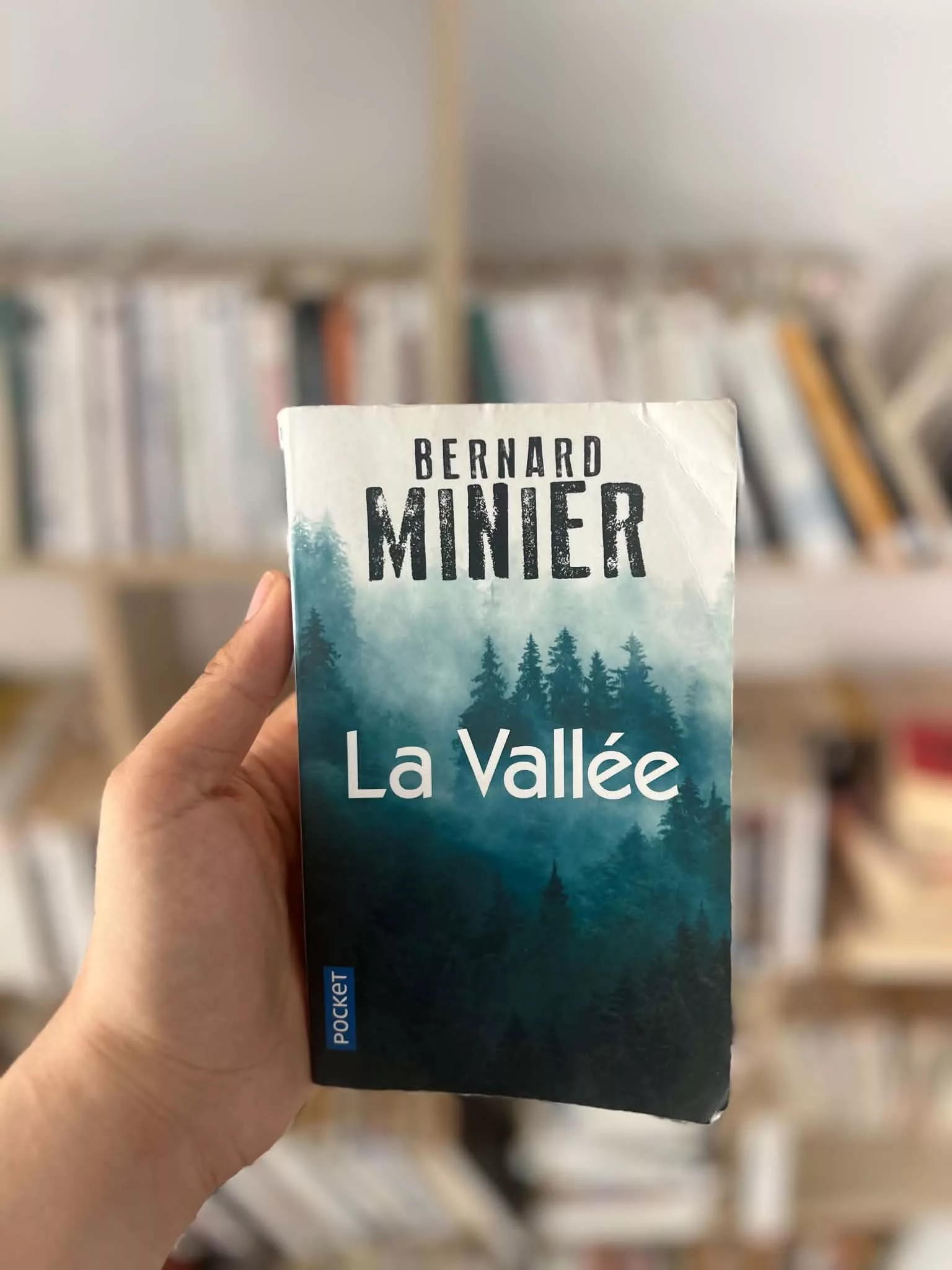 La Vallée de Bernard Minier