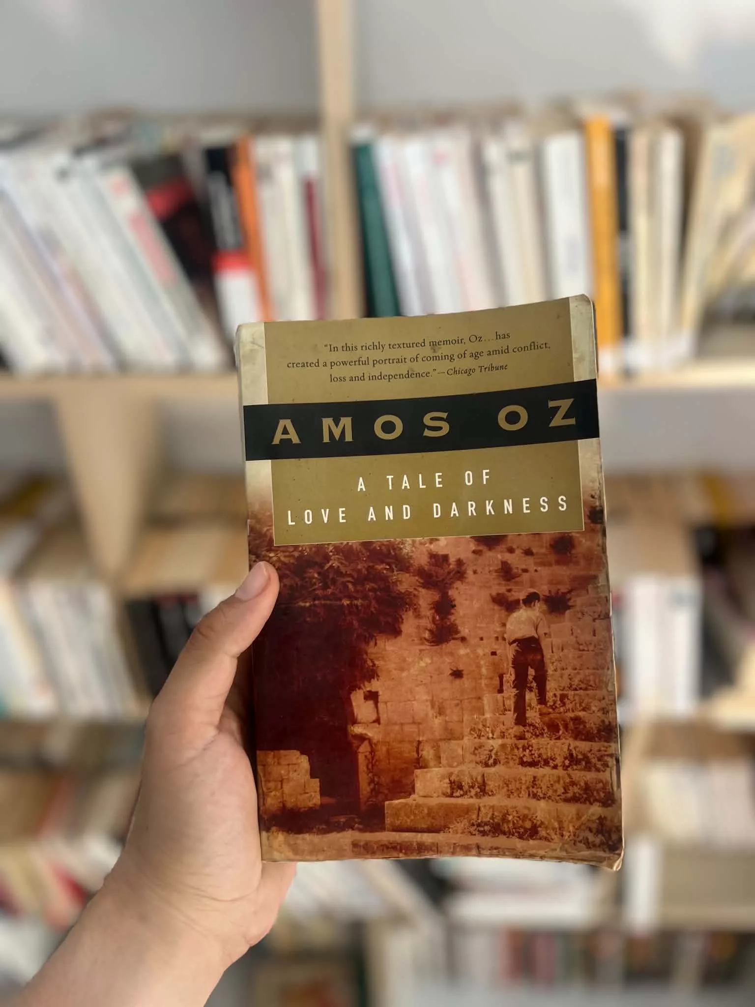 A Tale of Love and Darkness by Amos Oz