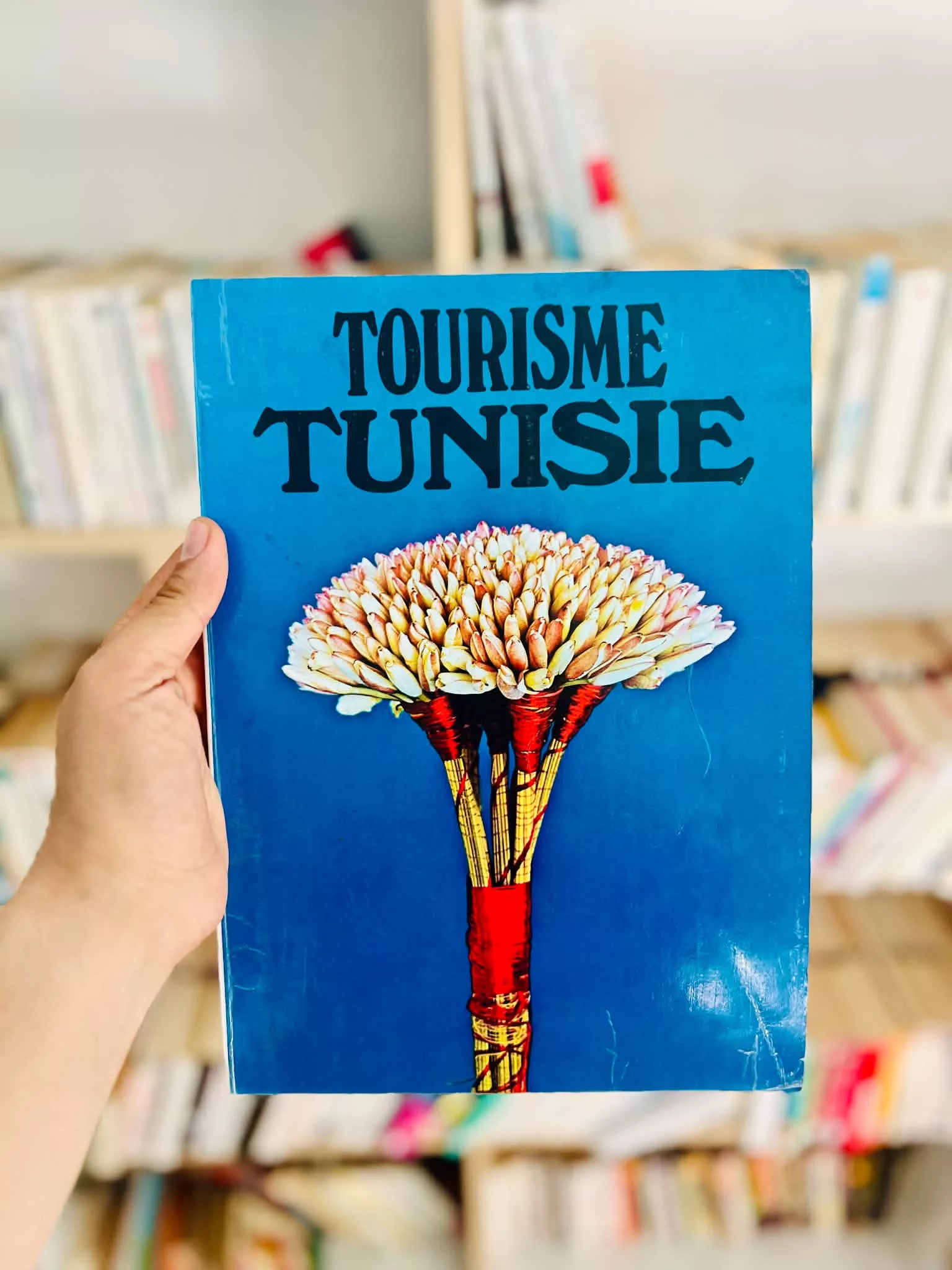 Tourisme Tunisie