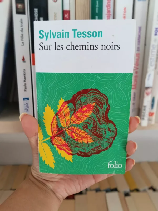 Sur les chemins noirs