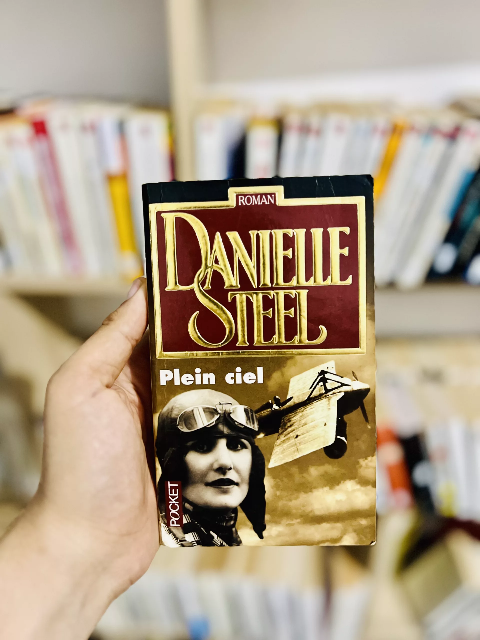 Plein ciel de Danielle Steel