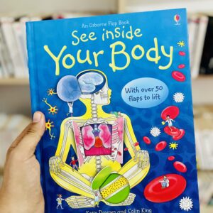 See inside Your Body by Katie Daynes