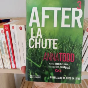 After T3 ; La chute