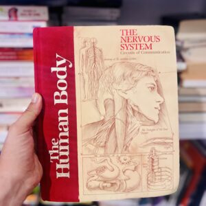 Nervous System: Circuits of Communication — John Clark (The Human Body, Torstar Books, 1985)
