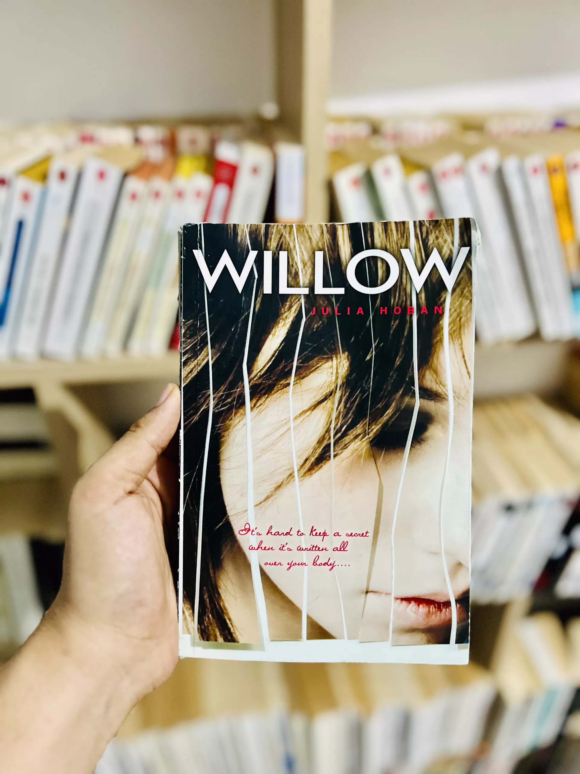 Willow by Julia Hoban